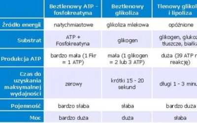 SYSTEMY ENERGETYCZNE